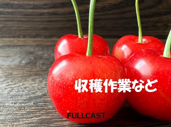 バイト先の写真