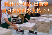 バイト先の写真