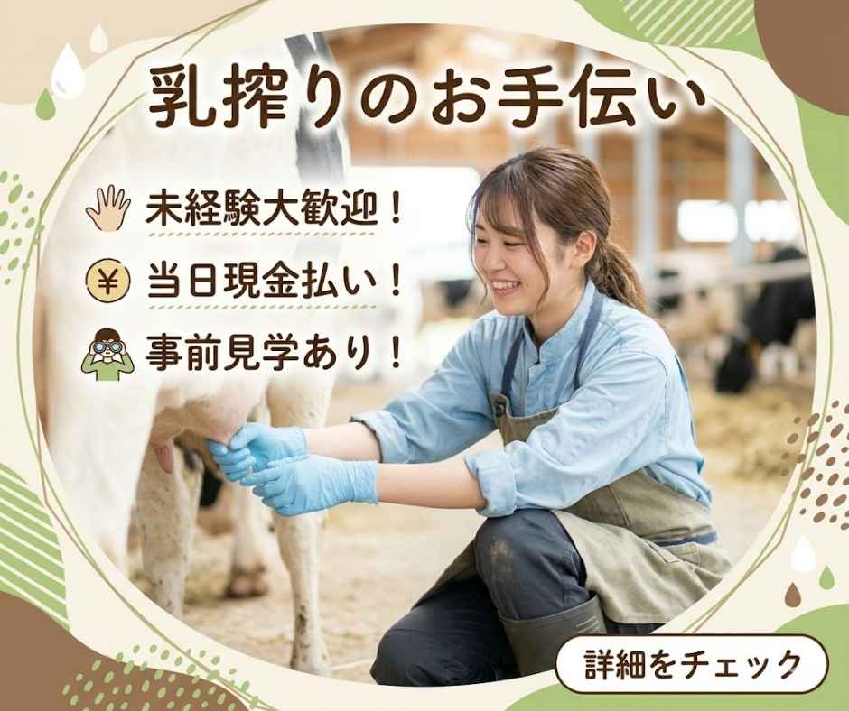 バイト先の写真