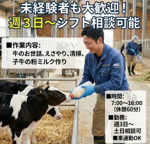 バイト先の写真