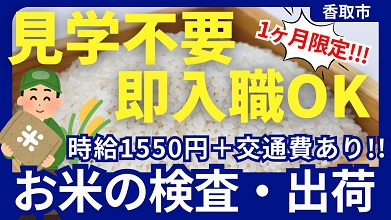 香取市のアルバイト バイト情報 日付 21 08 05 木 21 08 12 木 勤務時間 09 00 16 00 1ヶ月 限定 短期ok 高時給 お米の検査 出荷業務 フルキャスト