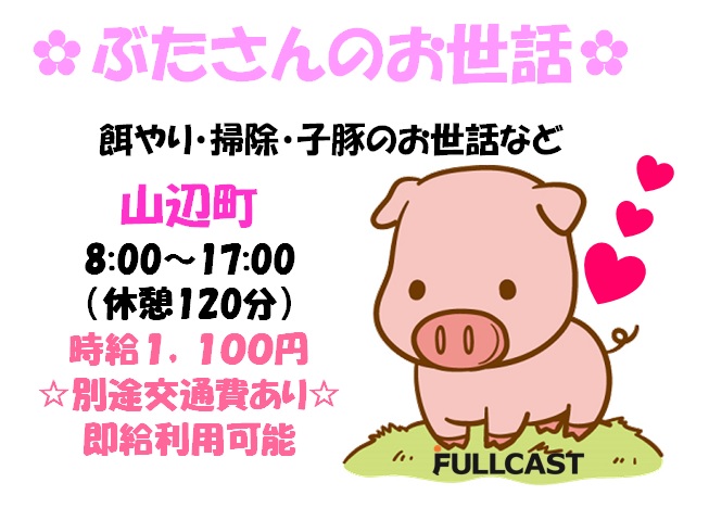 東村山郡山辺町のアルバイト バイト 情報 日付 21 11 30 火 22 10 31 月 勤務時間 08 00 17 00 レア求人 ブタさんの飼育員 フルキャスト