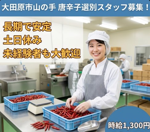 バイト先の写真