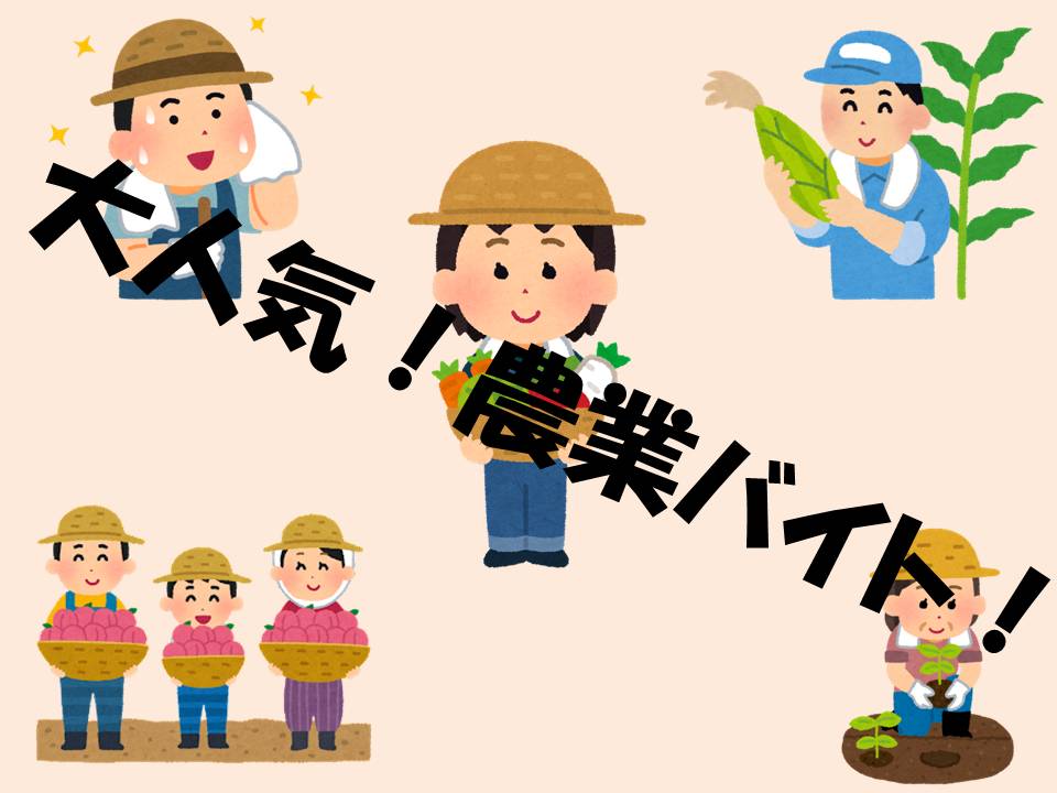 バイト先の写真