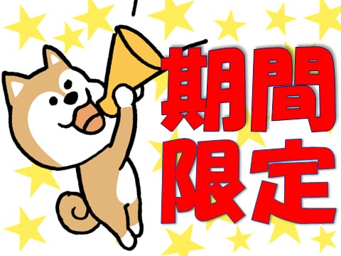バイト先の写真