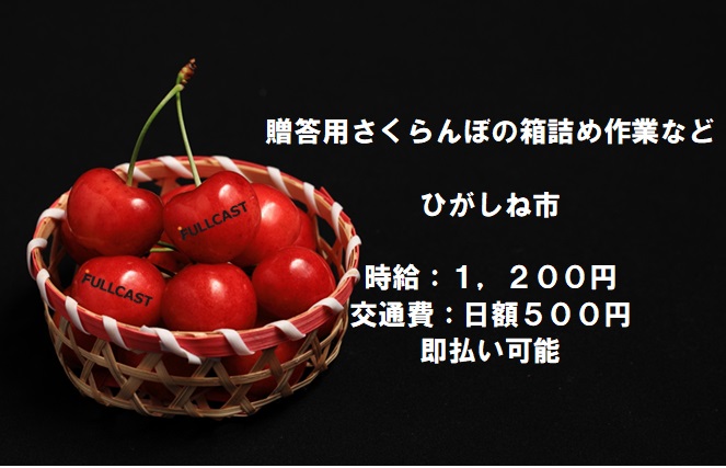 バイト先の写真