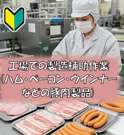 バイト先の写真
