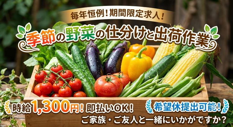 バイト先の写真