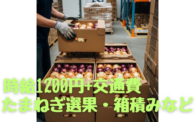 バイト先の写真