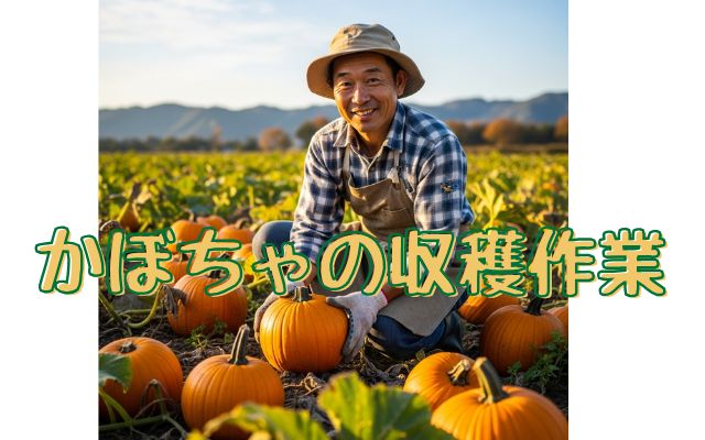 バイト先の写真