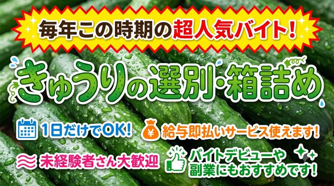 バイト先の写真