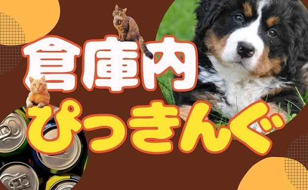バイト先の写真