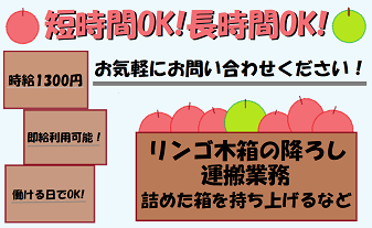バイト先の写真