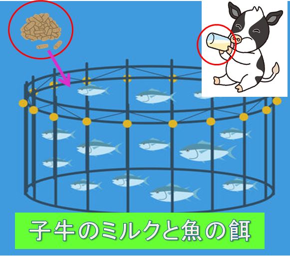 バイト先の写真