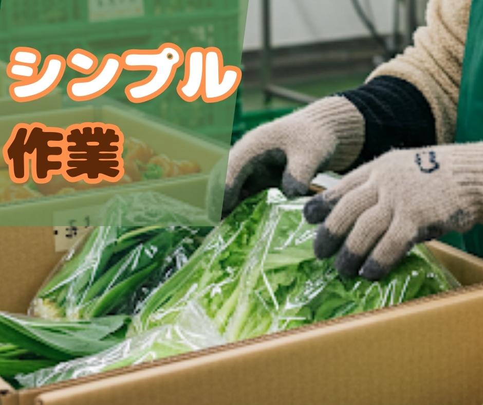 バイト先の写真