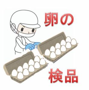 バイト先の写真
