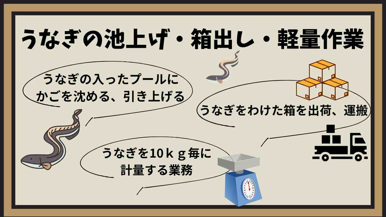 バイト先の写真