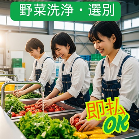 バイト先の写真