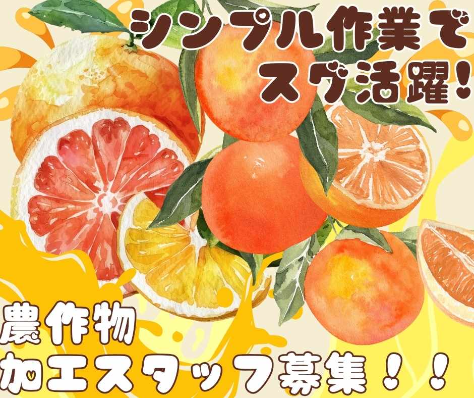 バイト先の写真