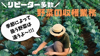 バイト先の写真