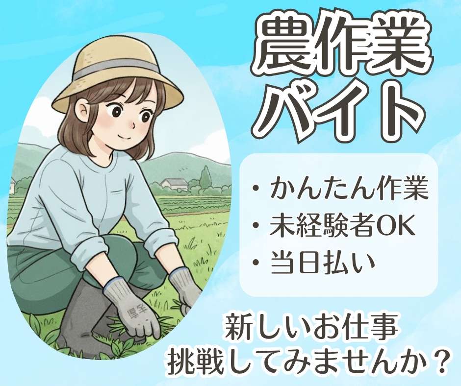 バイト先の写真