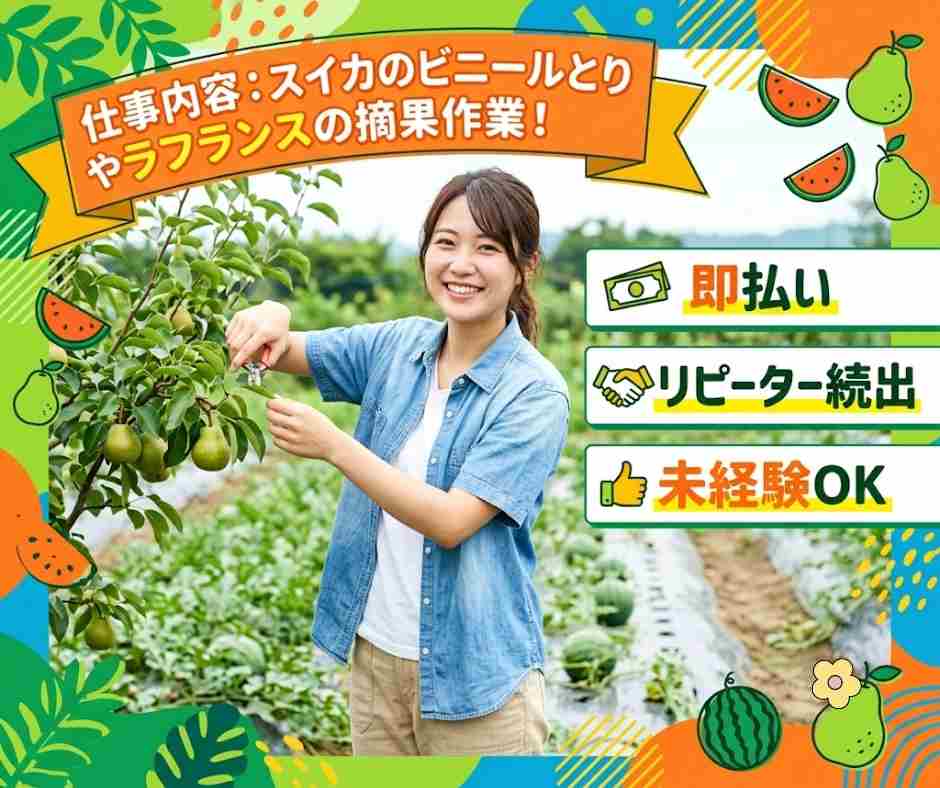 バイト先の写真