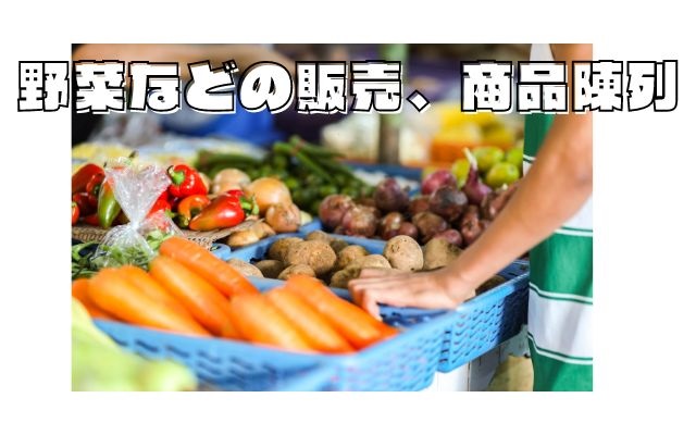 バイト先の写真