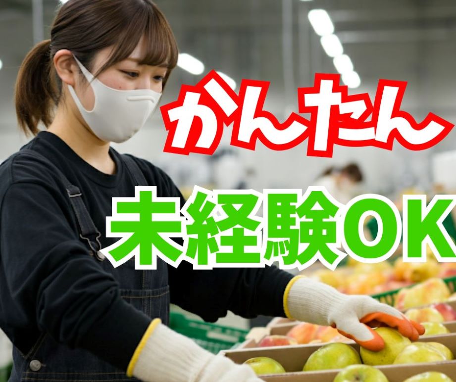 バイト先の写真