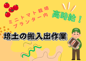 バイト先の写真