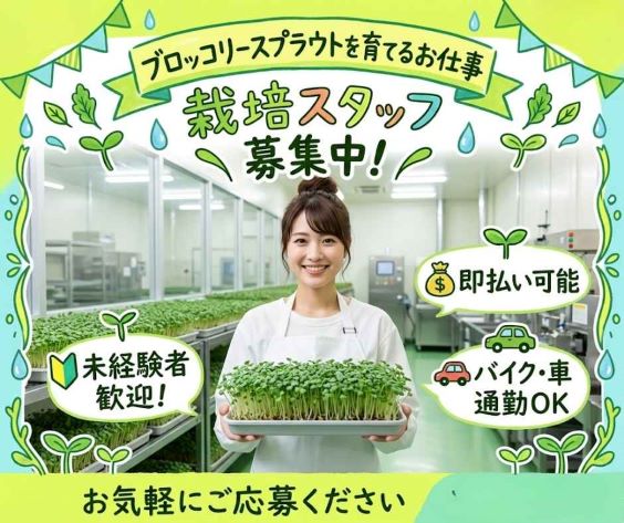 バイト先の写真