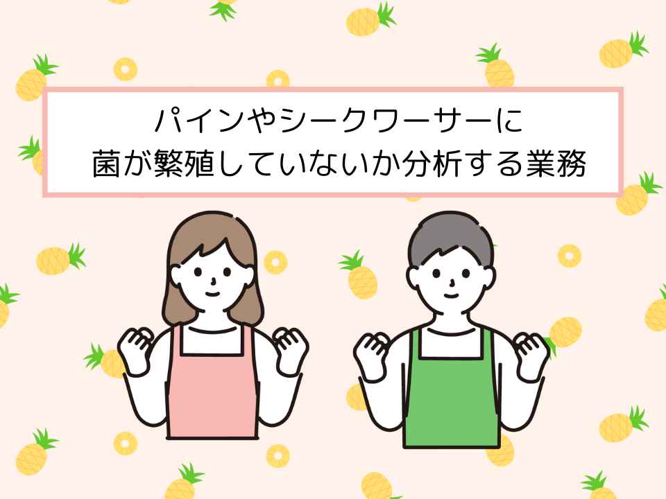 バイト先の写真
