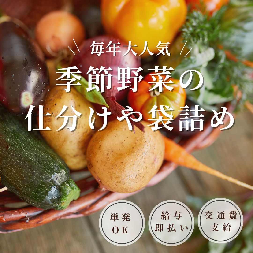 バイト先の写真