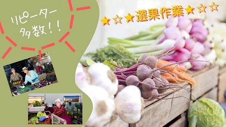 バイト先の写真