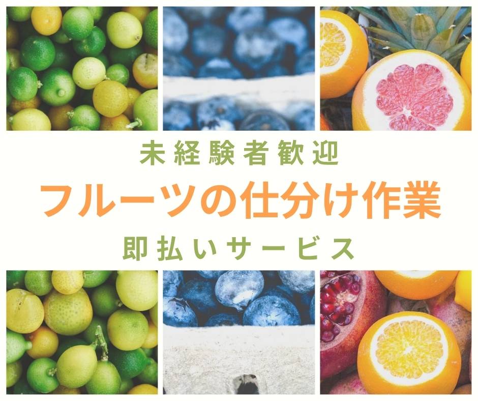 バイト先の写真