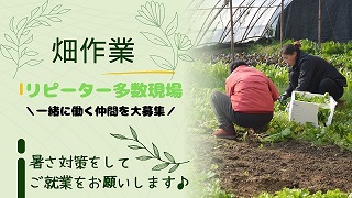 バイト先の写真