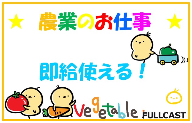 バイト先の写真