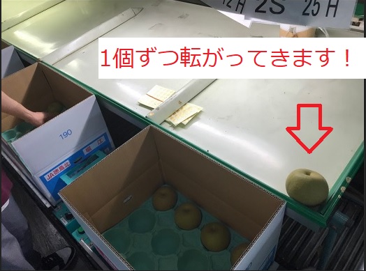 バイト先の写真