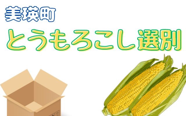 バイト先の写真
