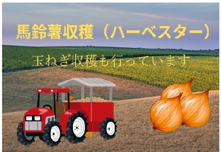 バイト先の写真
