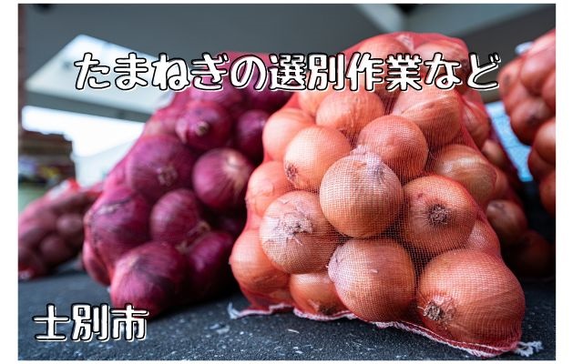 バイト先の写真