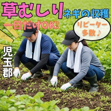 バイト先の写真
