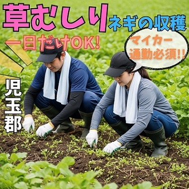 バイト先の写真
