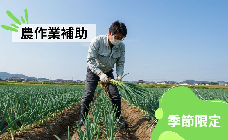 バイト先の写真