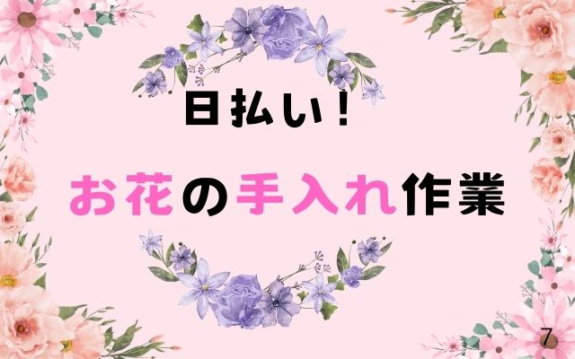 バイト先の写真