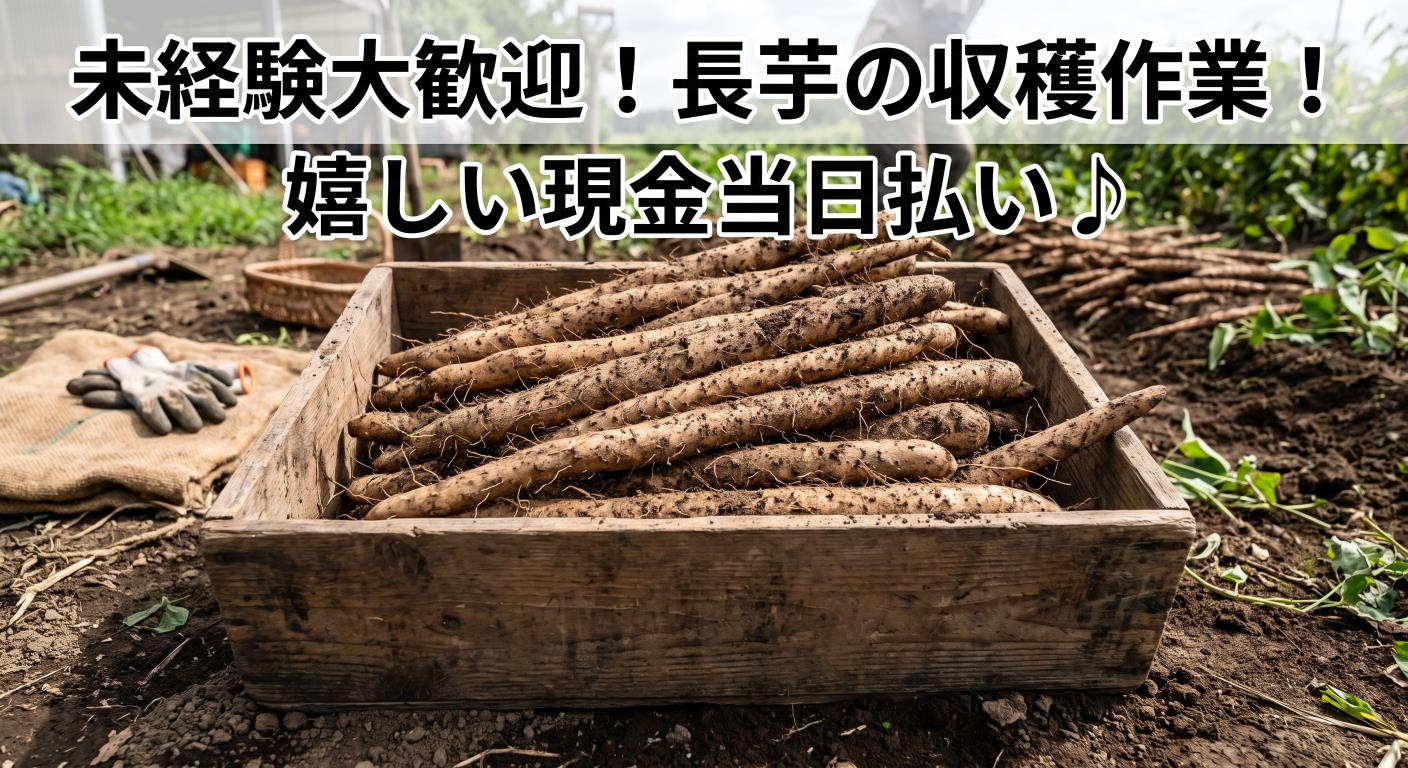 バイト先の写真