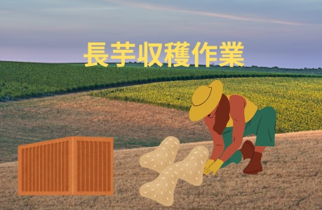バイト先の写真