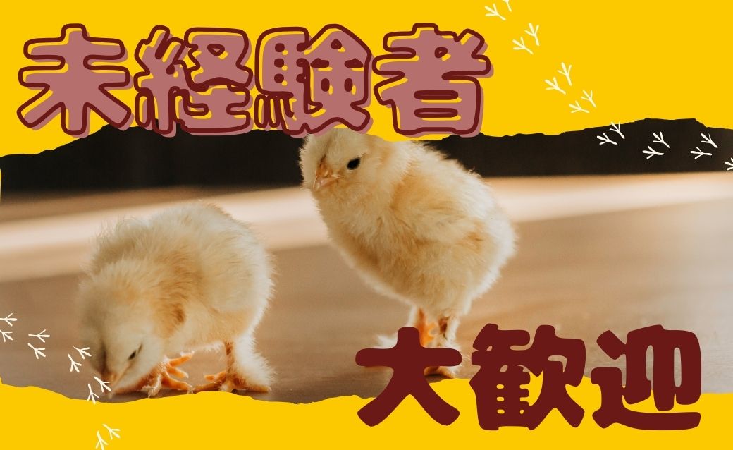 バイト先の写真