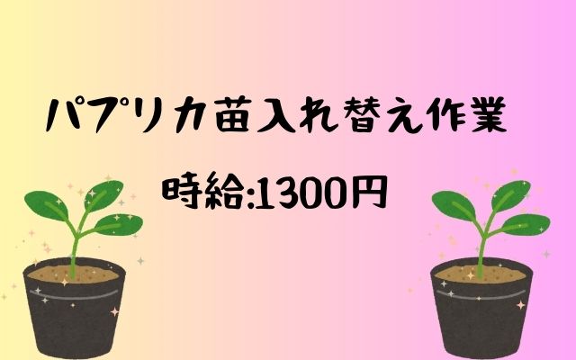 バイト先の写真
