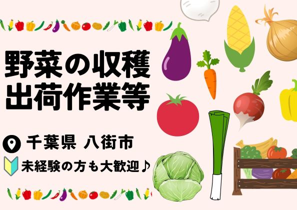 バイト先の写真