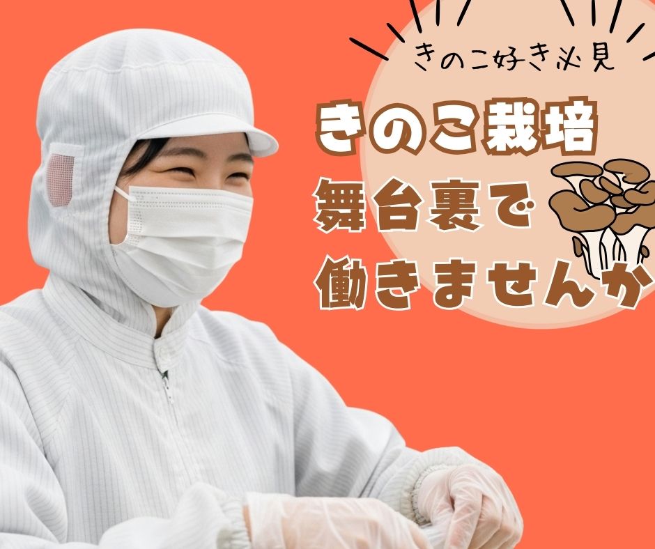 バイト先の写真